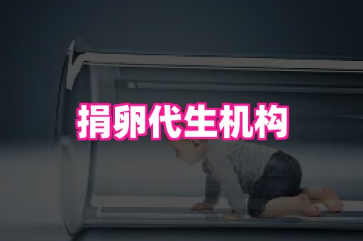 821孕网 1