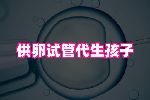 821孕网 4